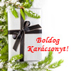 Kreatív karácsony ? Homeomamival